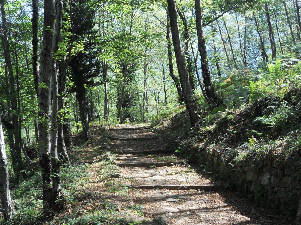Villa Vincenza Vallo della Lucania Dış mekan fotoğraf