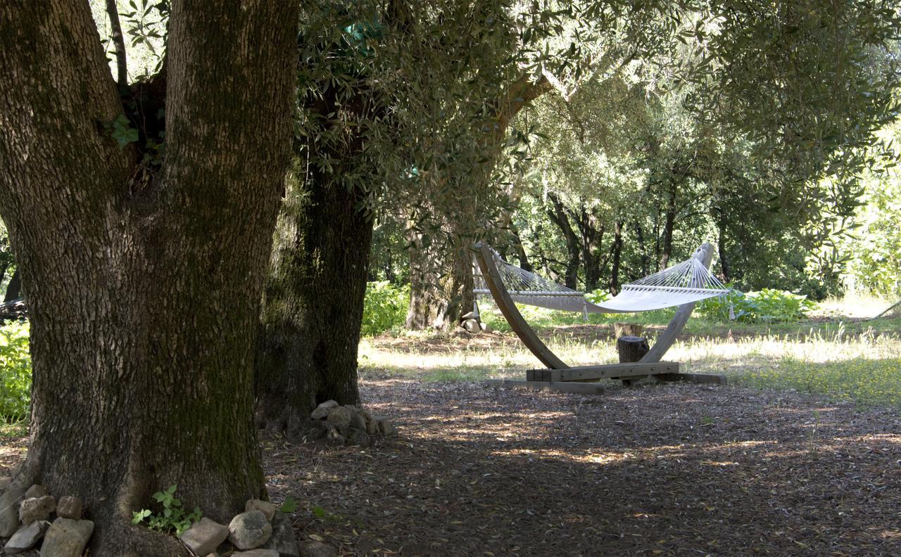 Villa Vincenza Vallo della Lucania Dış mekan fotoğraf